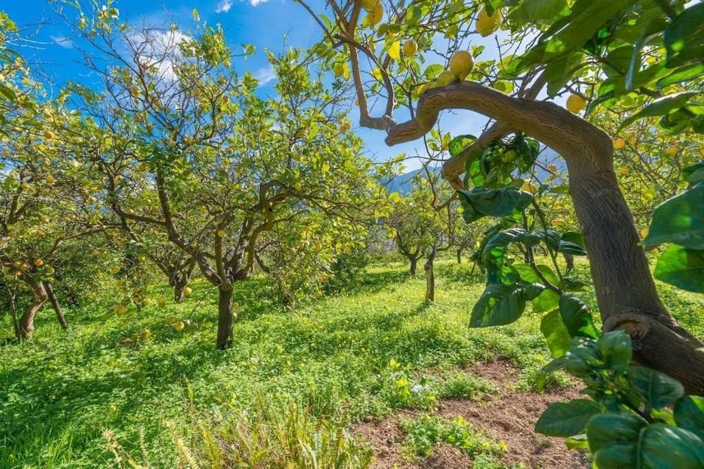 Villa Frontera Soller Exterior photo